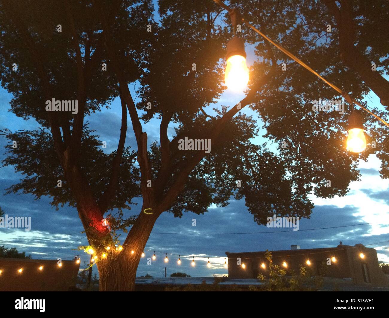 Decorative lights hang in a backyard within evening light. Stock Photo