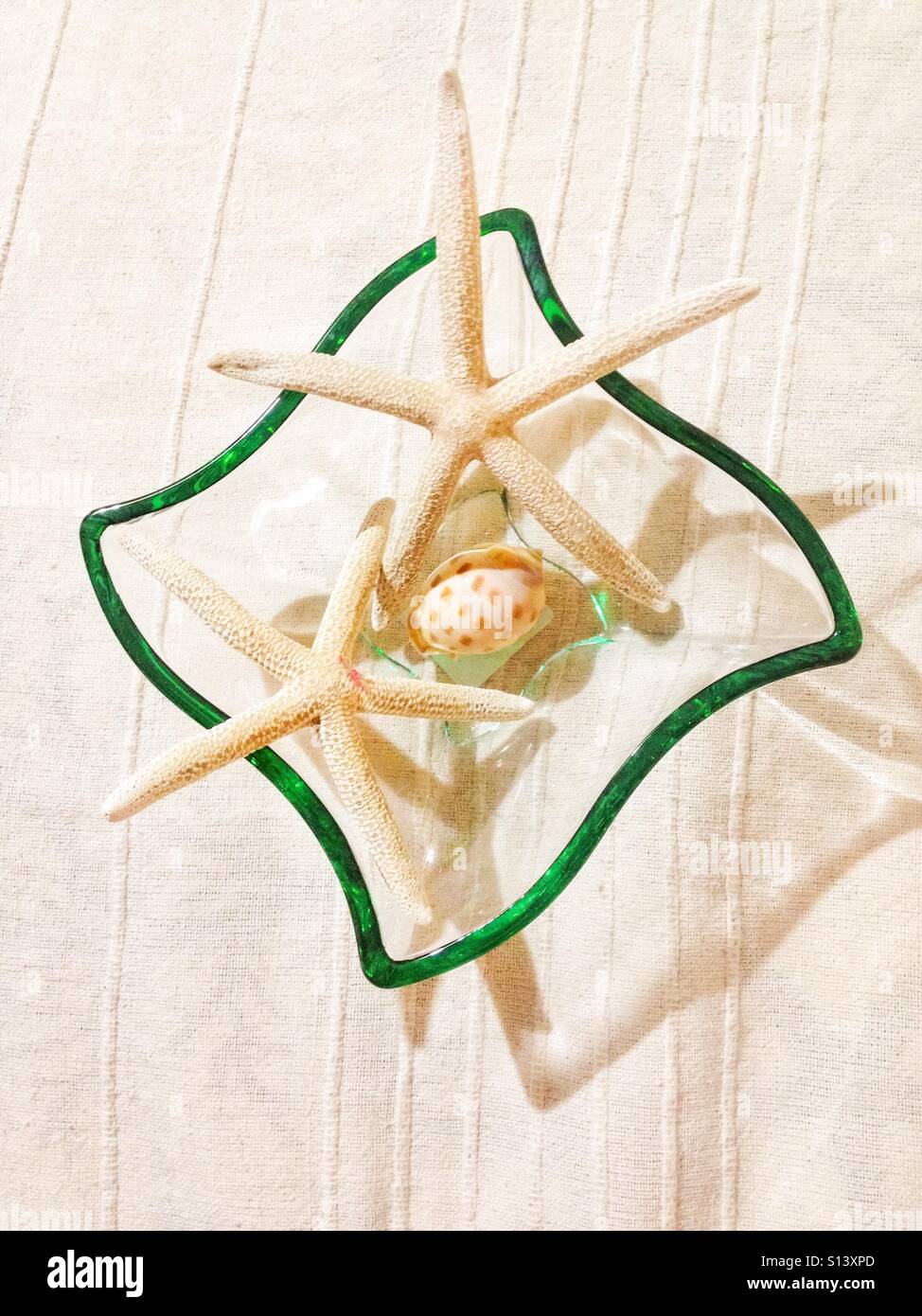 Glass container with starfishes and a shell - Smartphone Captured Stock Image