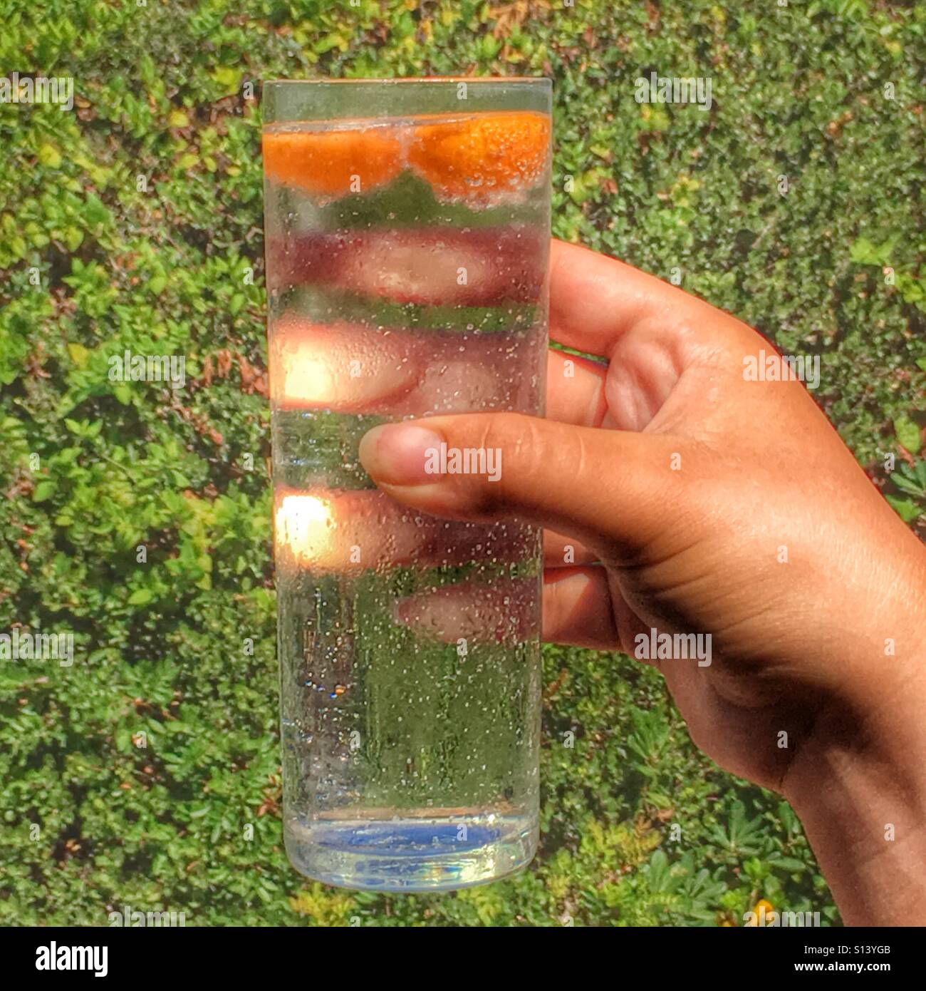 Cheers! - Smartphone Captured Stock Image