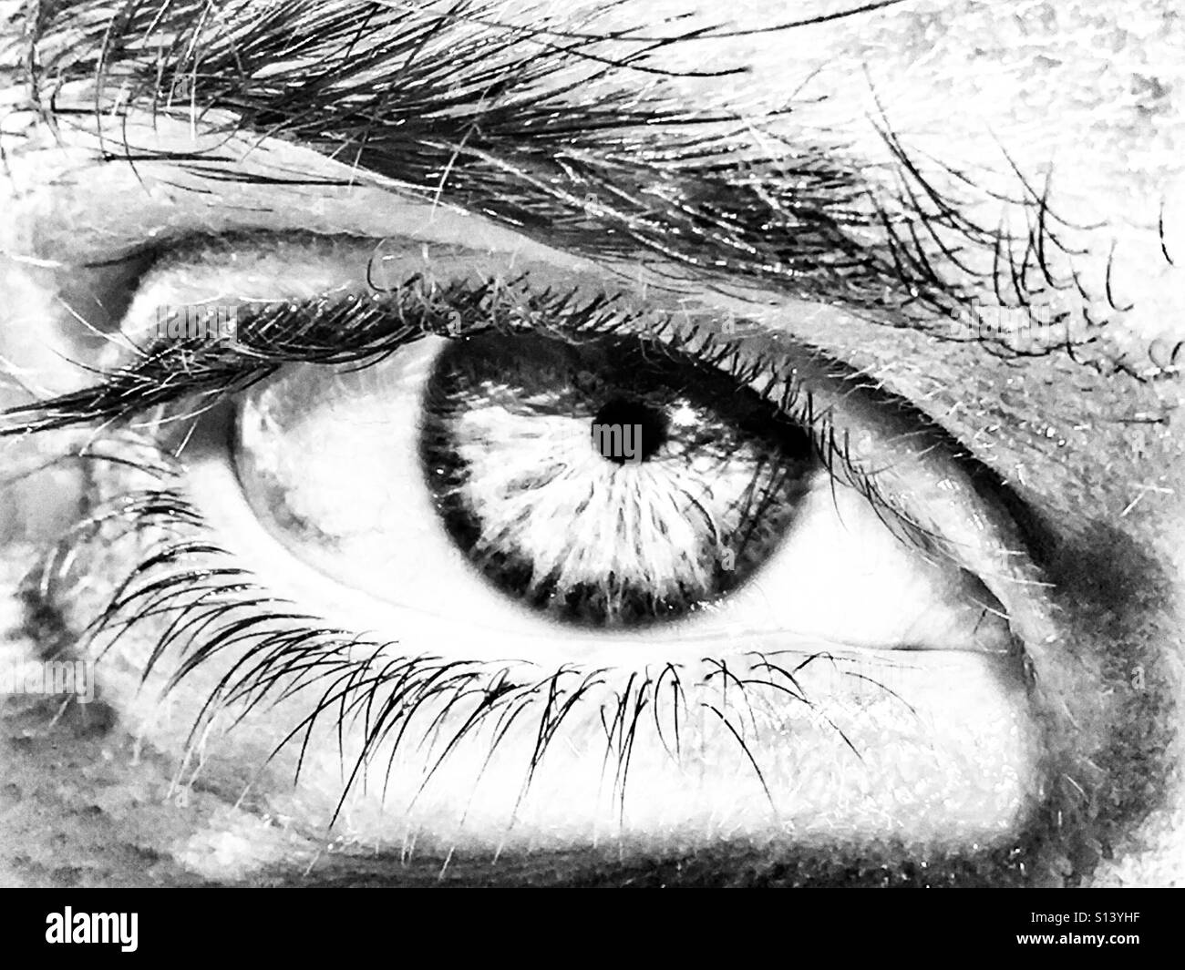 Eye, close up - Smartphone Captured Stock Image