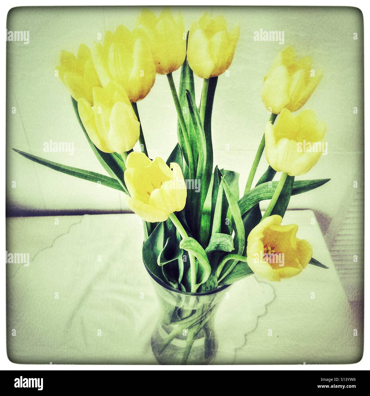 Yellow tulips in glass vase Stock Photo Alamy
