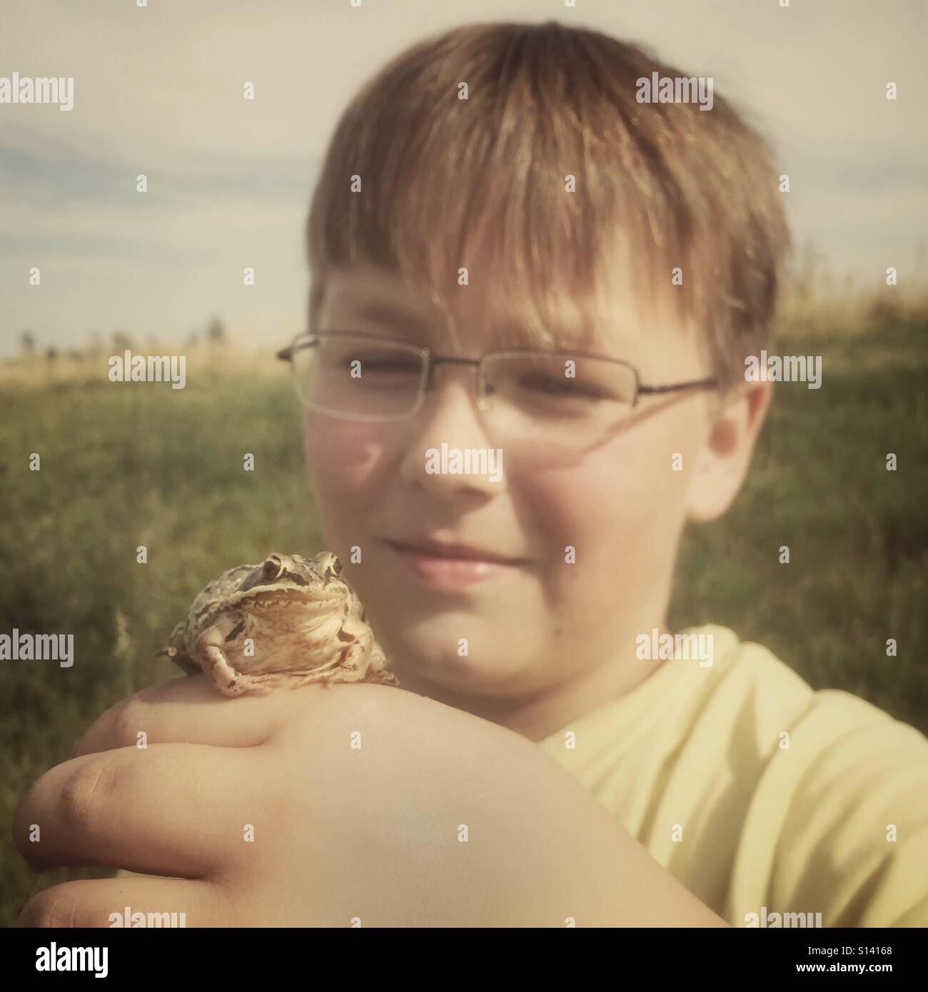 A boy holds a frog he caught. Stock Photo