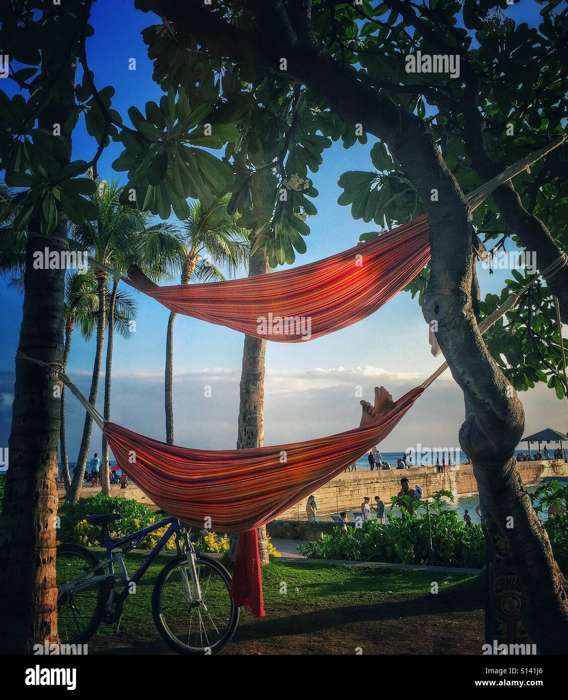 Bunk hammock sale