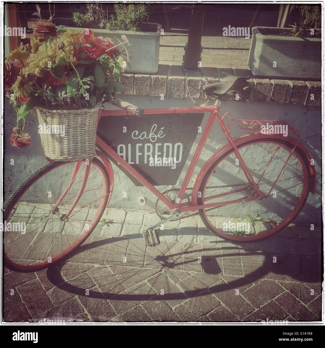 Cafe Alfredo, Waterfront, Cape Town, South Africa. - Smartphone Captured Stock Image
