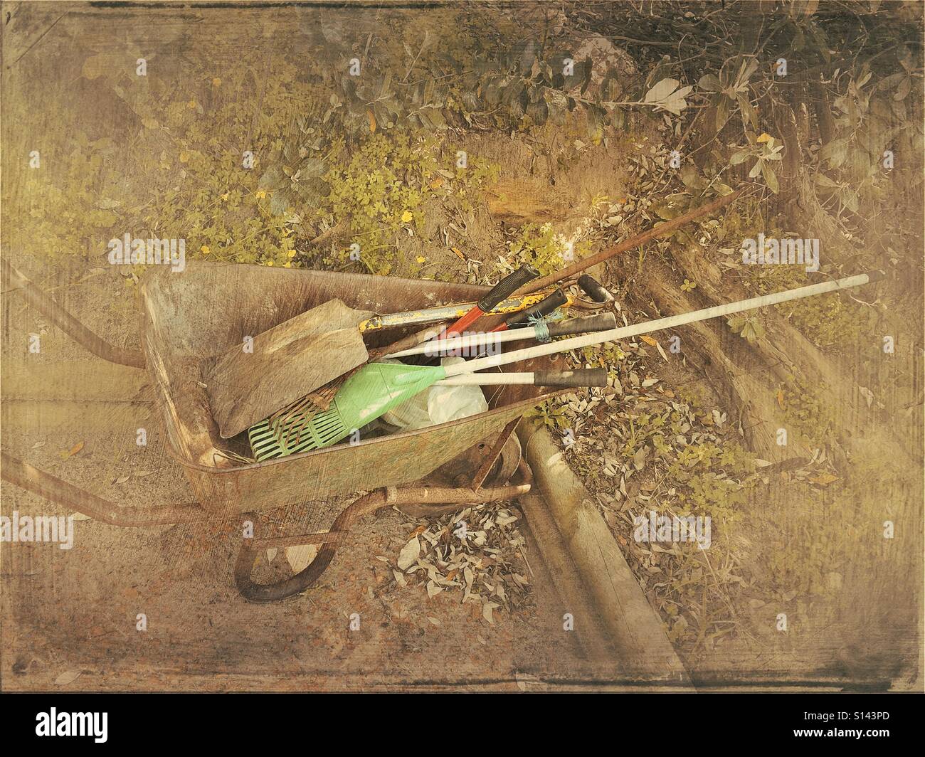 Gardening tools in wheelbarrow. - Smartphone Captured Stock Image