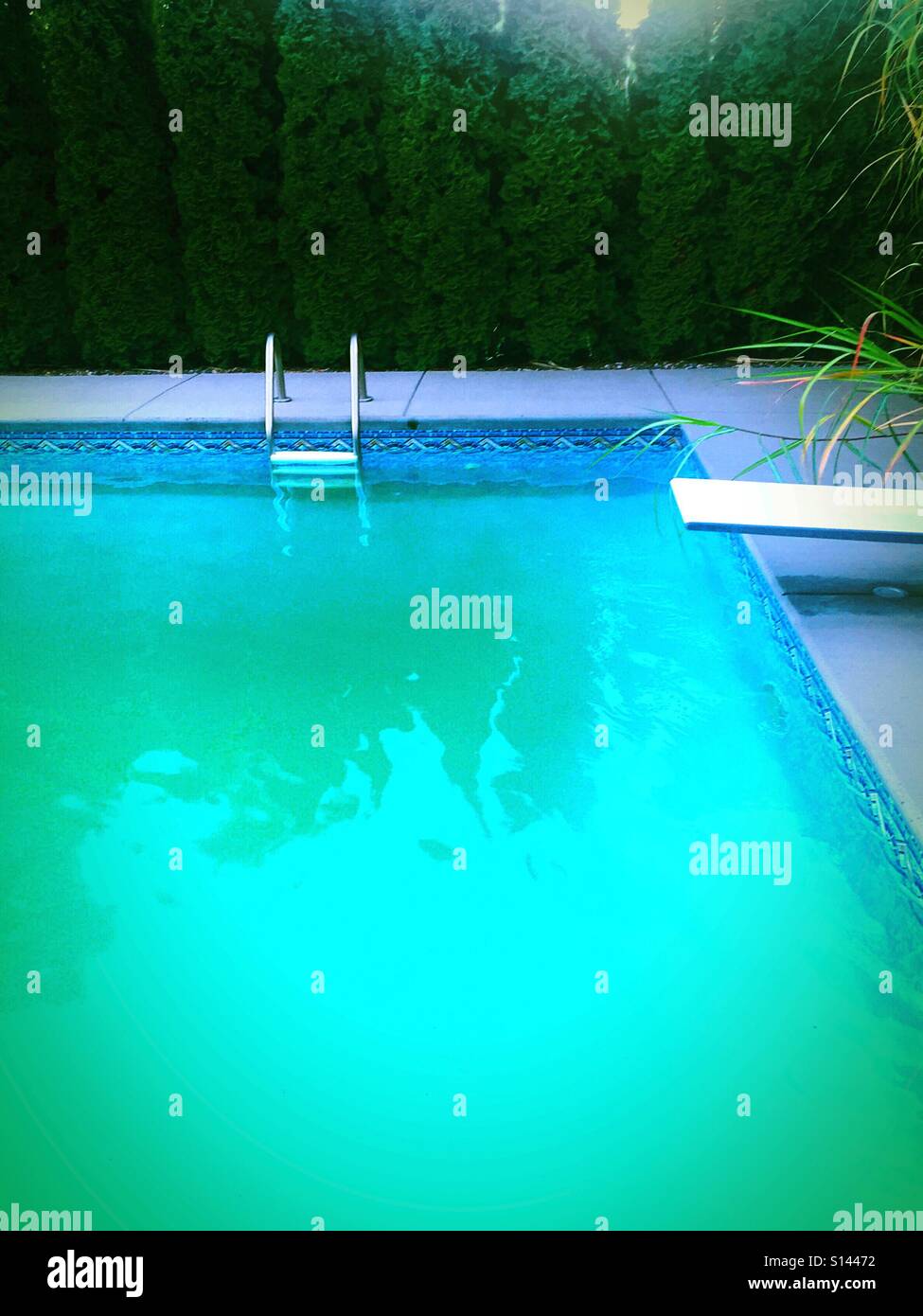 Empty outdoor pool with green murky water on a late summer day - Smartphone Captured Stock Image