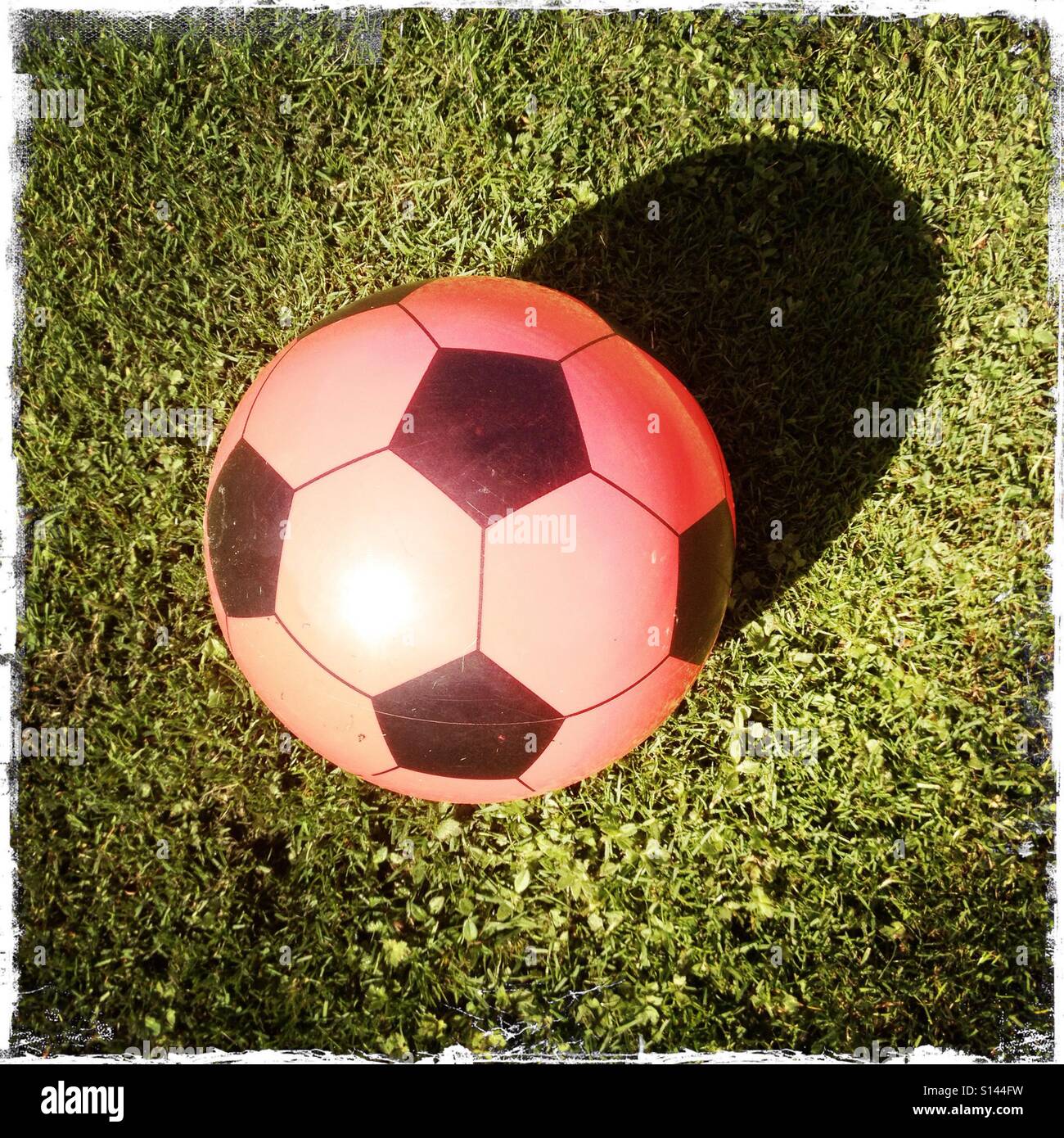 A plastic football on green grass in the sun - Smartphone Captured Stock Image