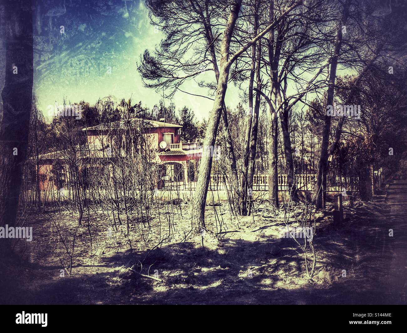 House surrounded by burnt woodland, a lucky escape. - Smartphone Captured Stock Image