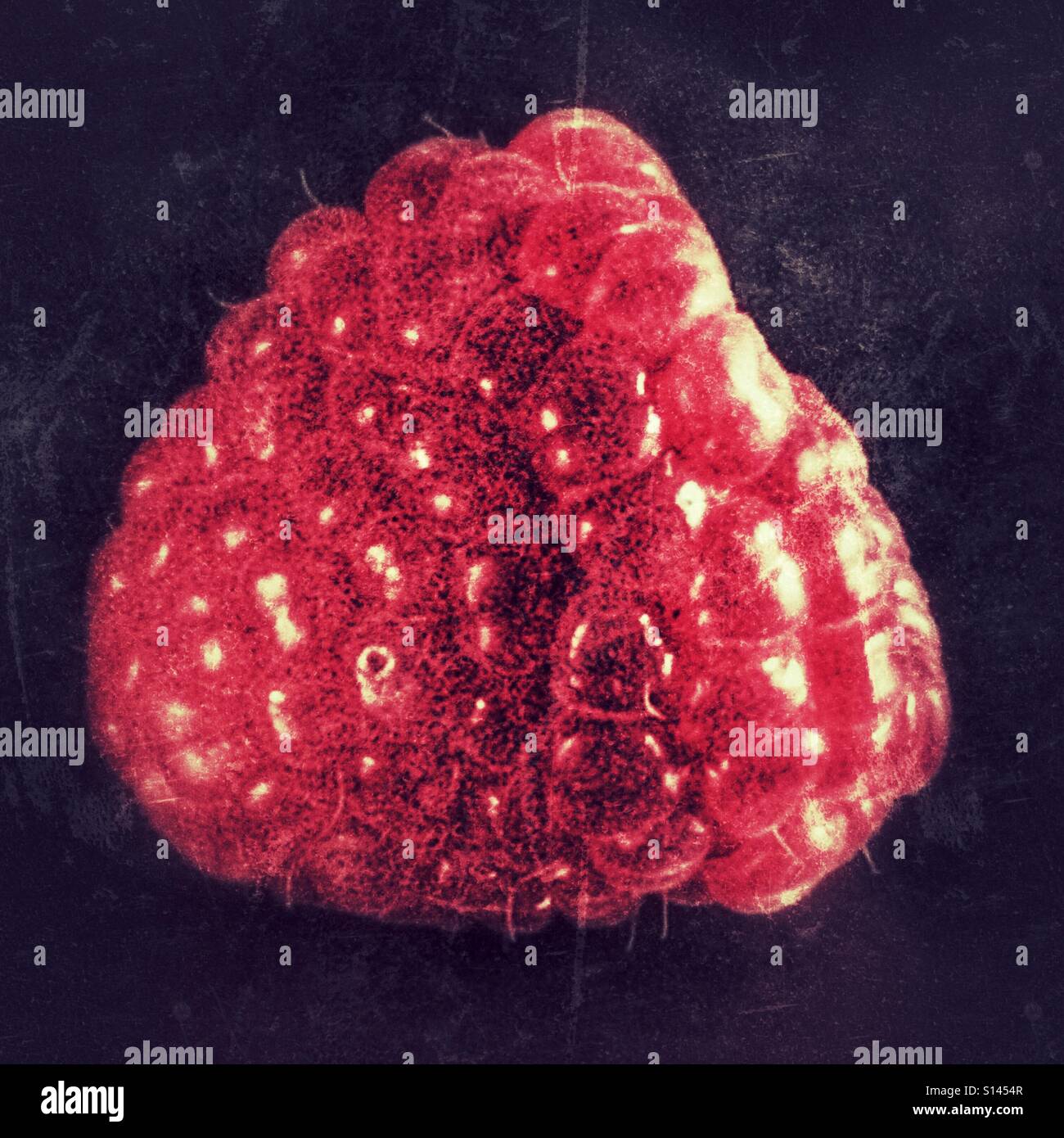 Raspberry, close up - Smartphone Captured Stock Image