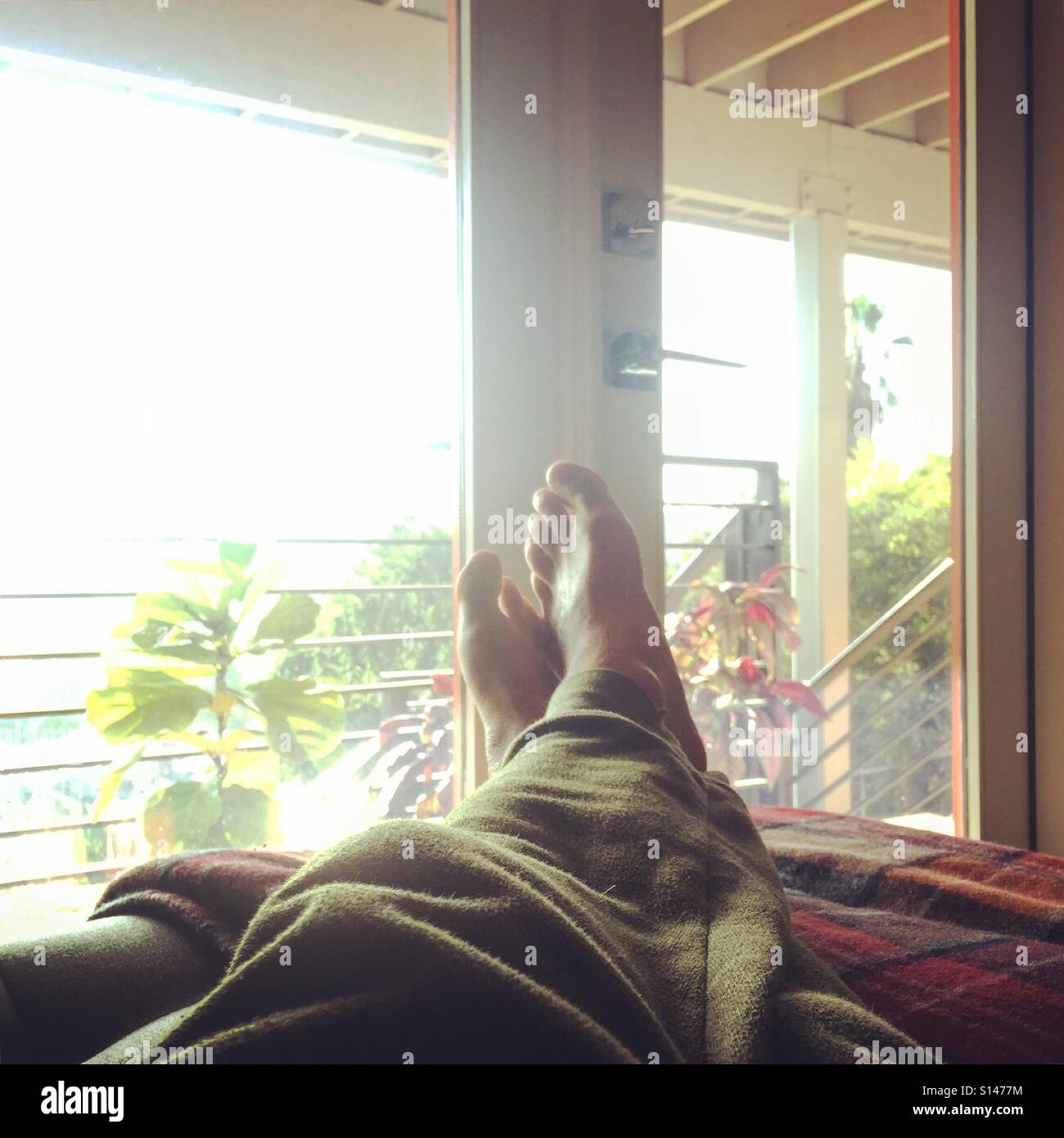 uptempo flax on feet