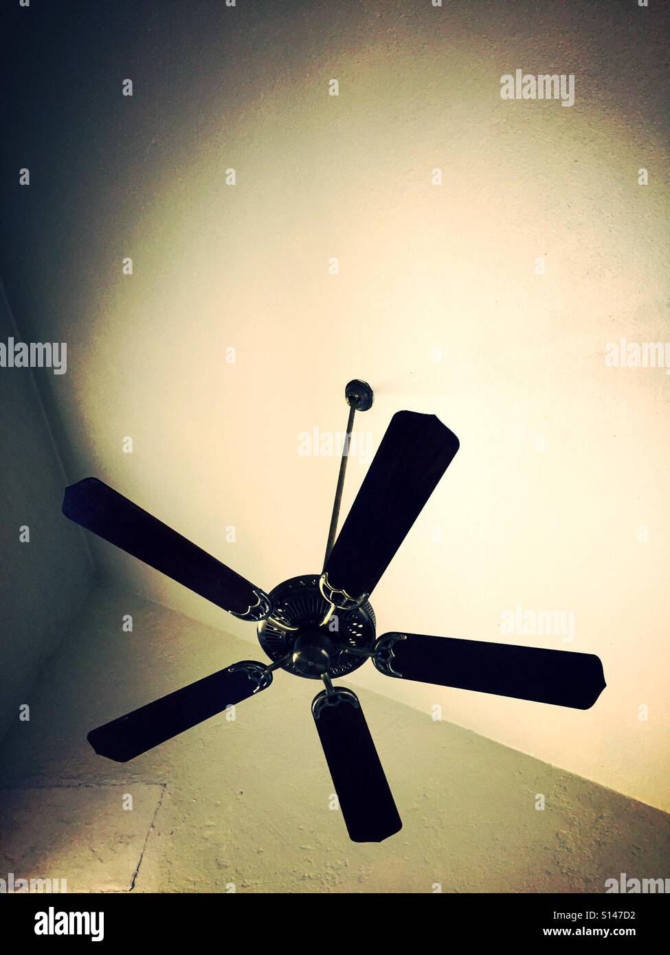 Ceiling fan hanging from vaulted ceiling Stock Photo Alamy