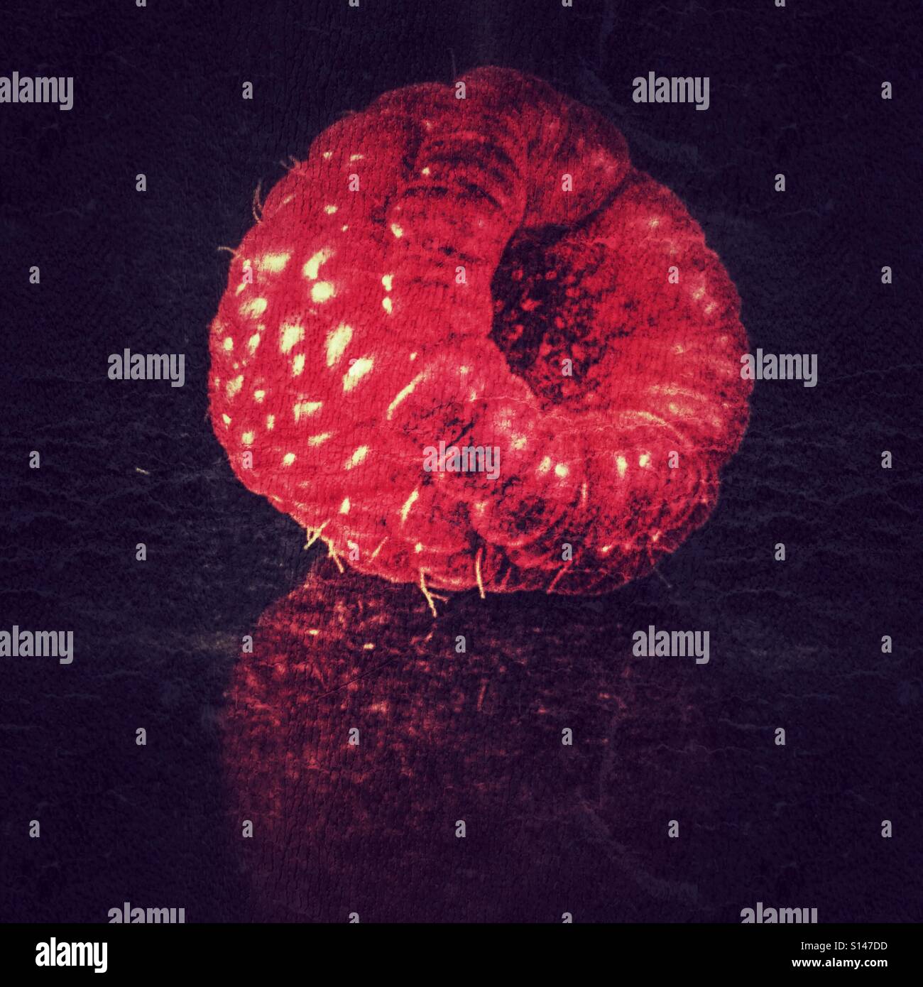 Raspberry - Smartphone Captured Stock Image