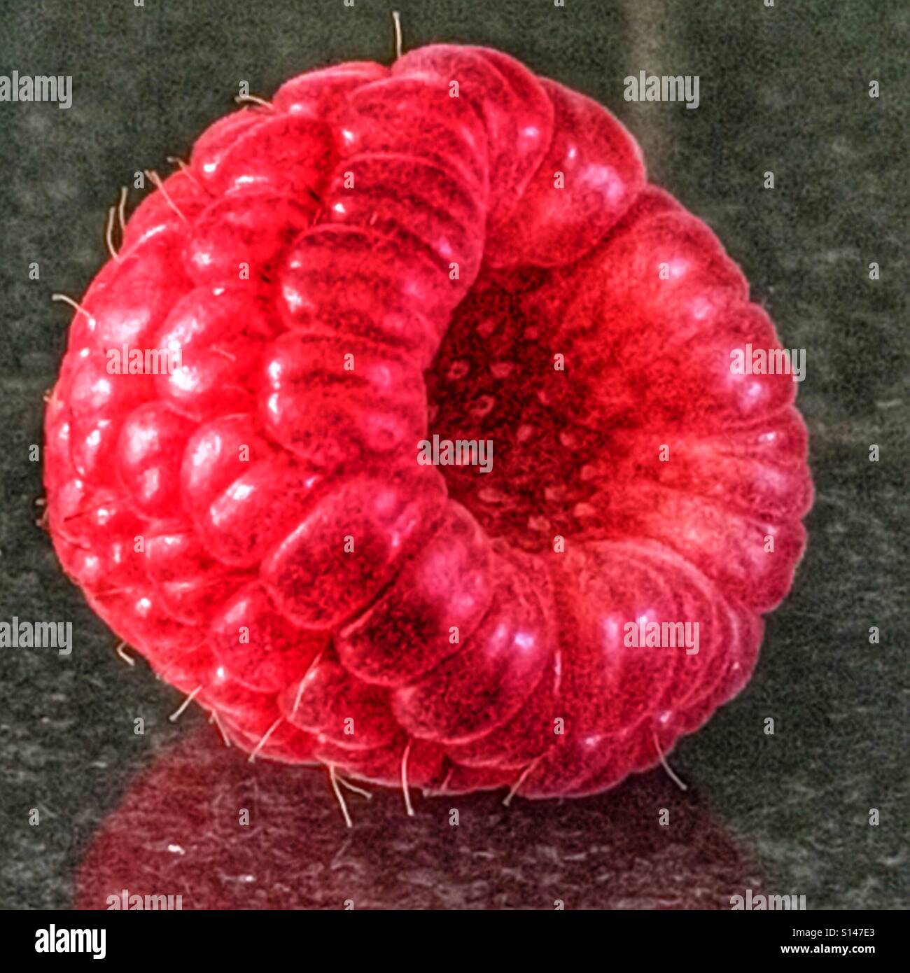 Raspberry - Smartphone Captured Stock Image