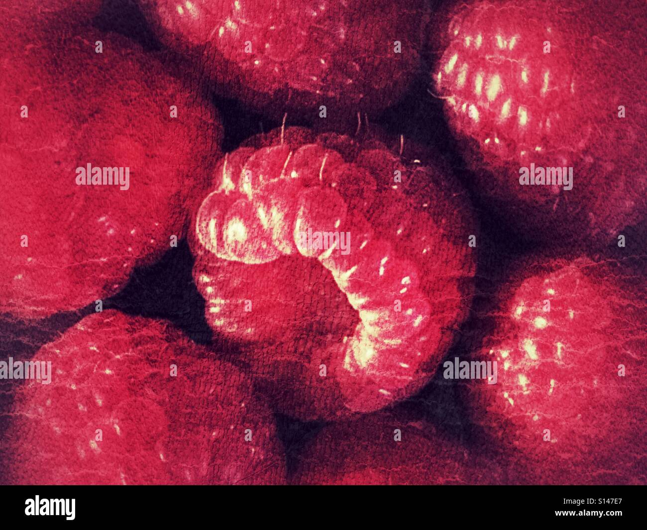 Colour raspberry hi-res stock photography and images - Alamy
