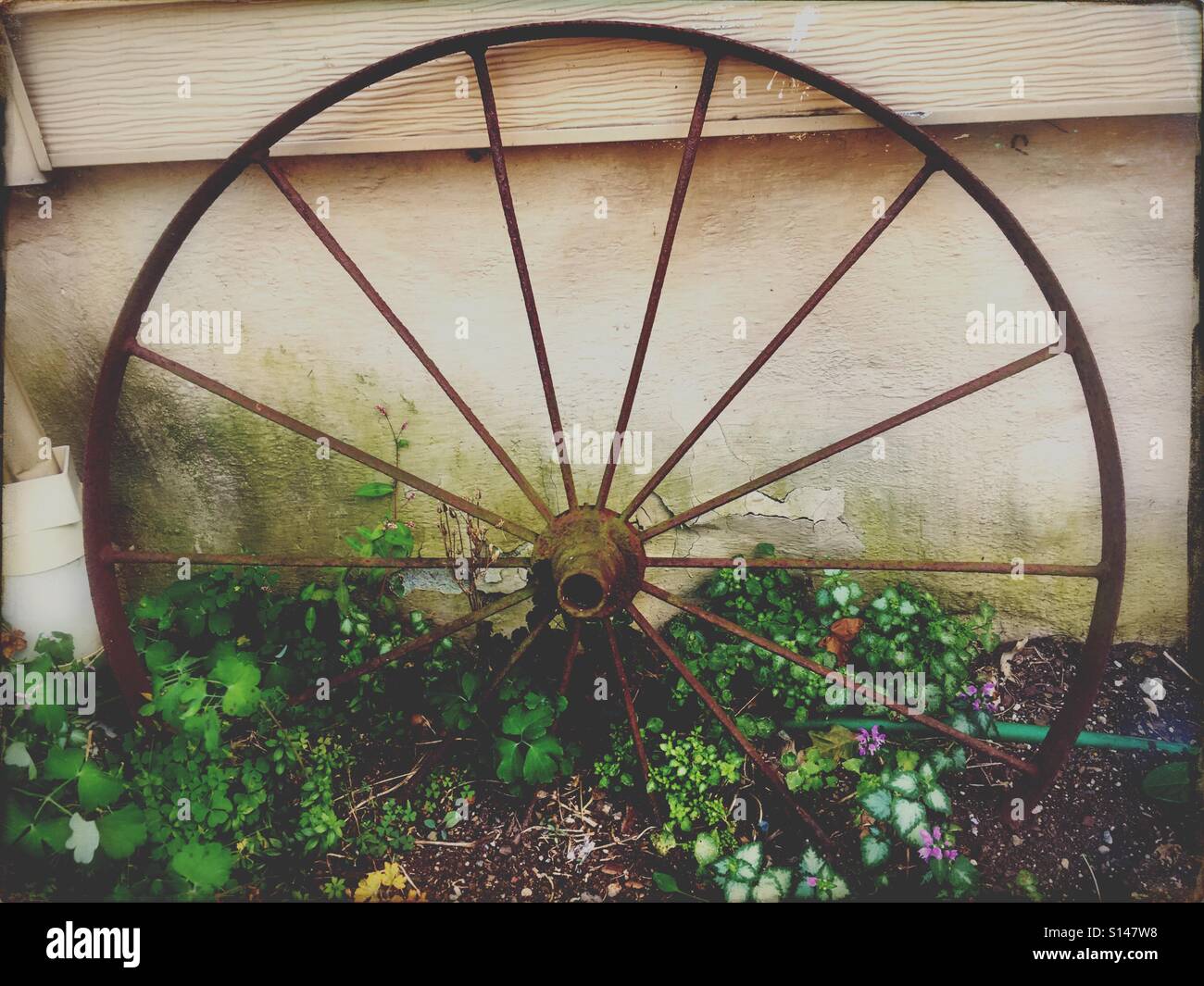 Wagon wheel - Smartphone Captured Stock Image