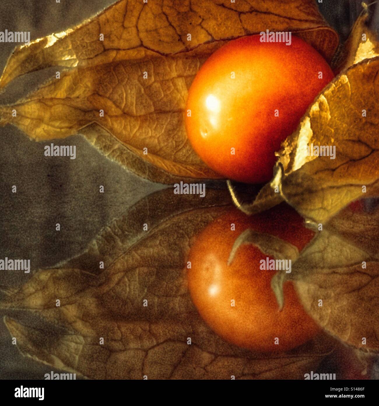 Cape gooseberry, reflected in polished granite surface - Smartphone Captured Stock Image
