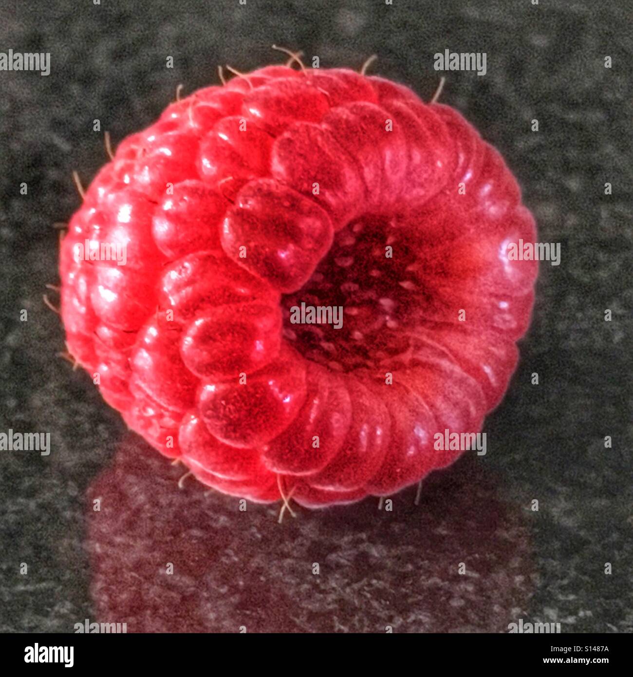 Raspberry - Smartphone Captured Stock Image