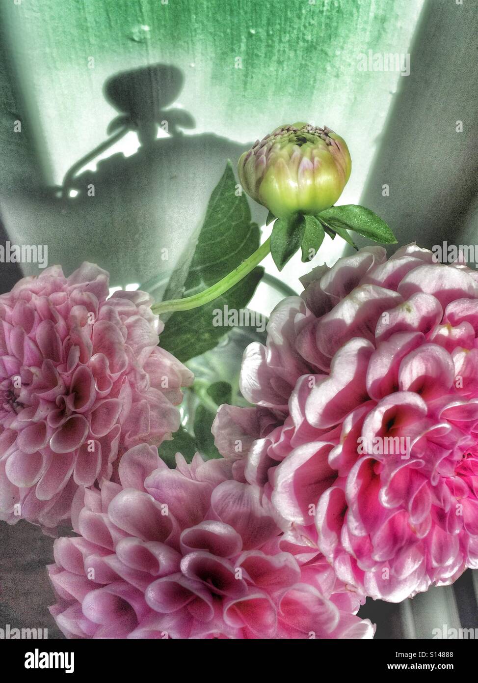 Flowers in a vase Stock Photo