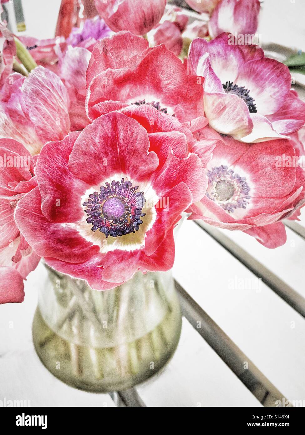 Anemone Artistic Flowers In A Vase Stock Photo 310496876 Alamy