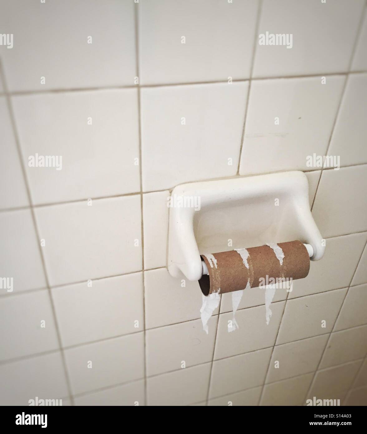 Empty toilet paper roll Stock Photo Alamy