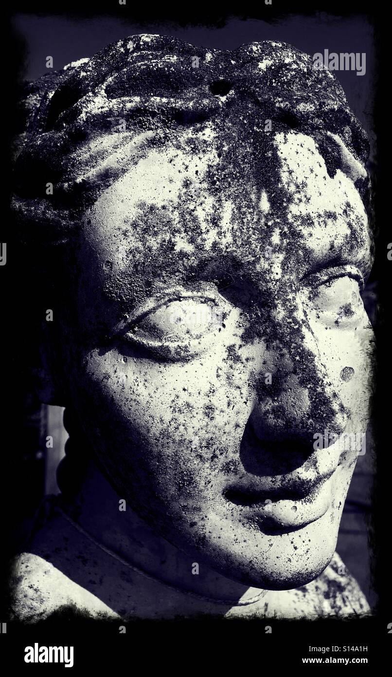 head of stone statue of a woman - Smartphone Captured Stock Image