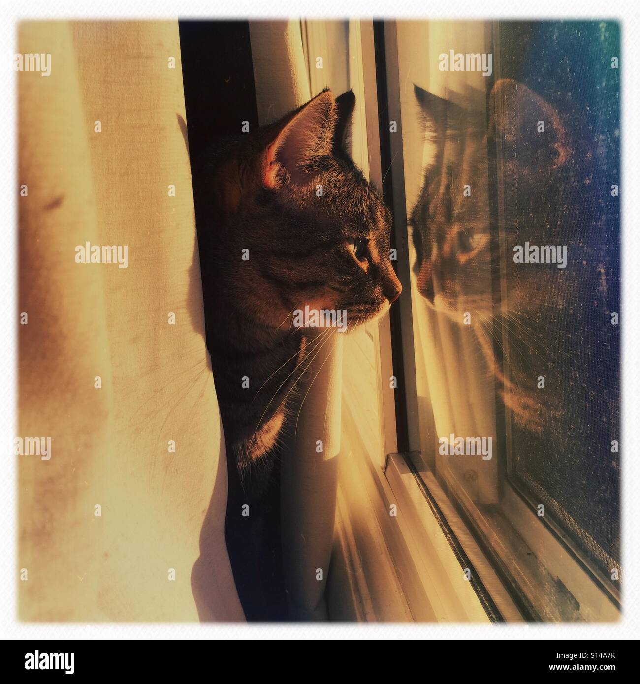 Morning reflections - Smartphone Captured Stock Image