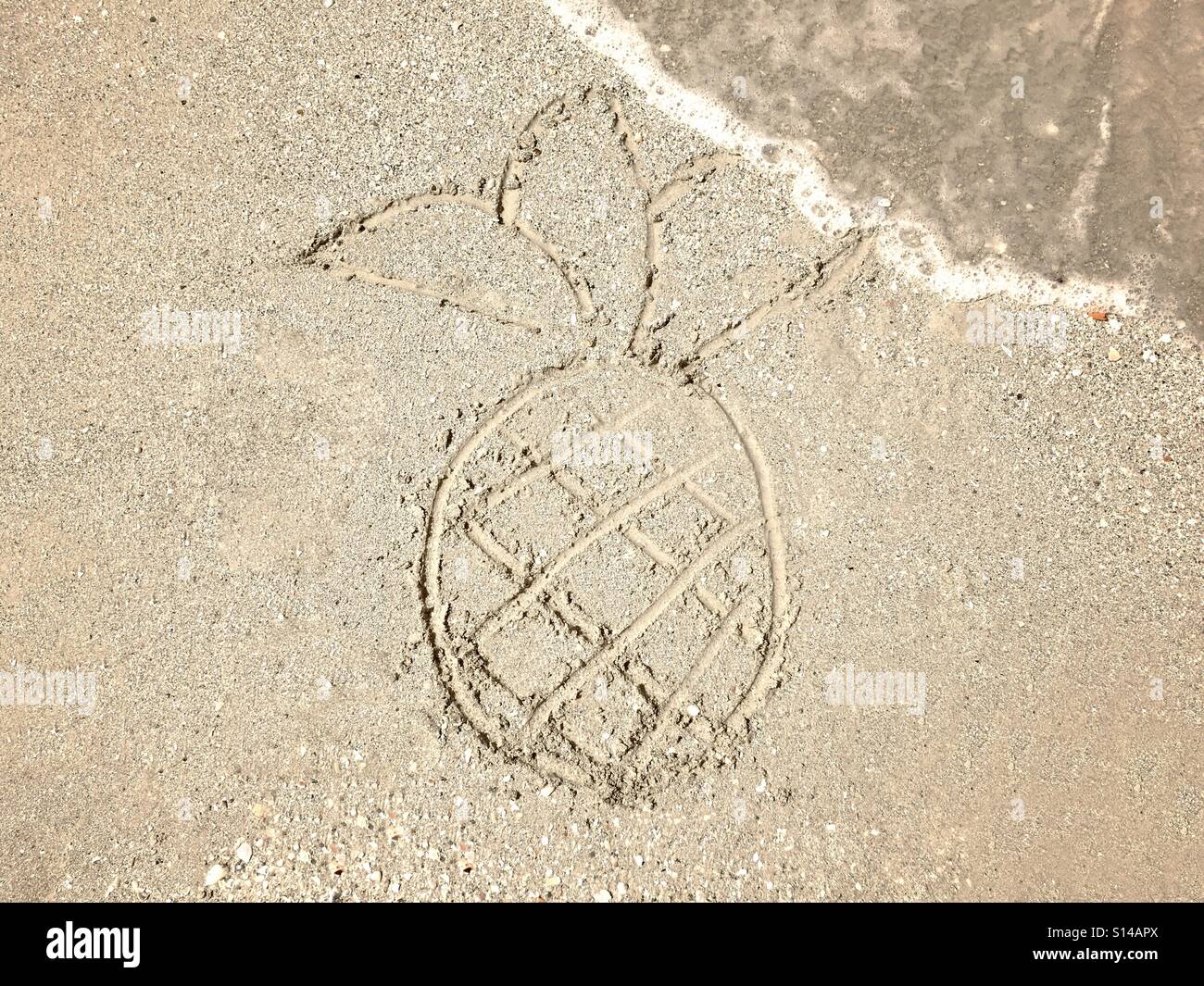 Pineapple drawn in sand - Smartphone Captured Stock Image
