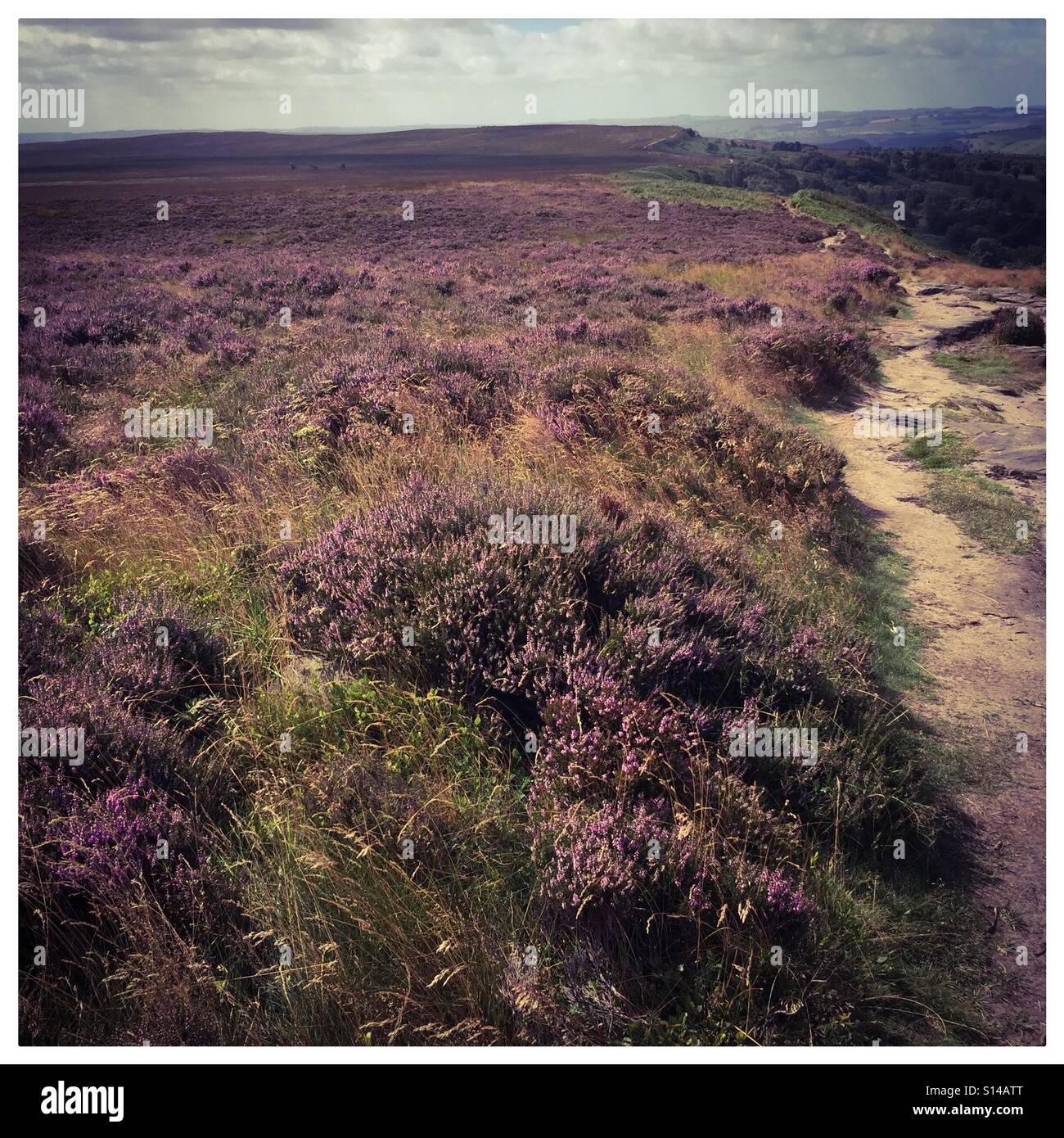 White edge Derbyshire Stock Photo