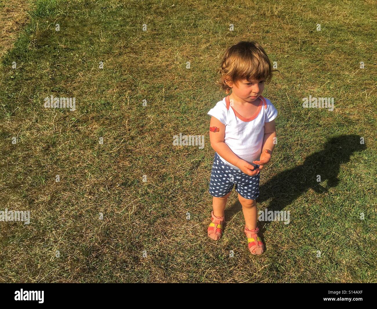 Toddler walking on grass, France Stock Photo