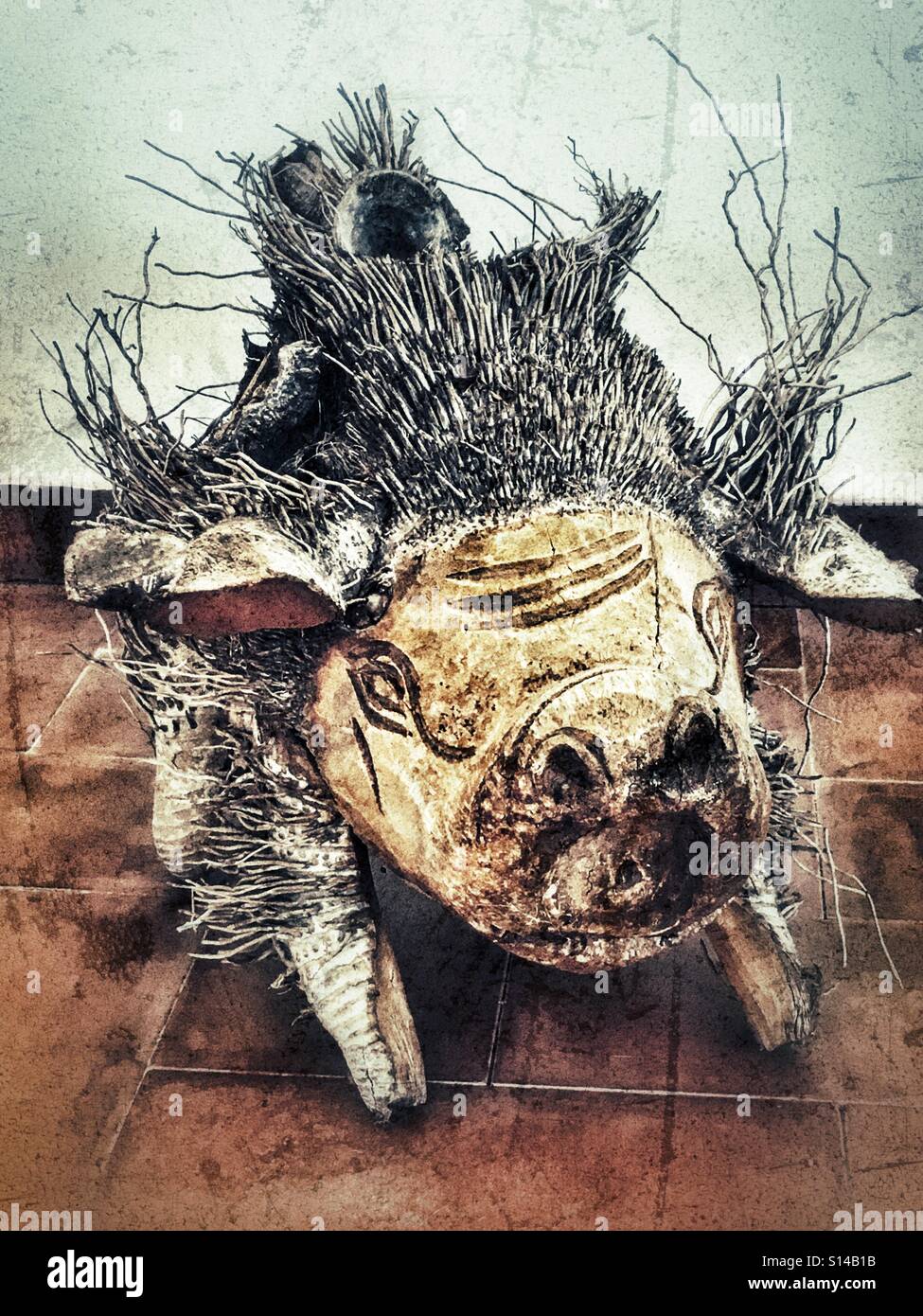 Pig carved from a coconut palm trunk and roots - Smartphone Captured Stock Image