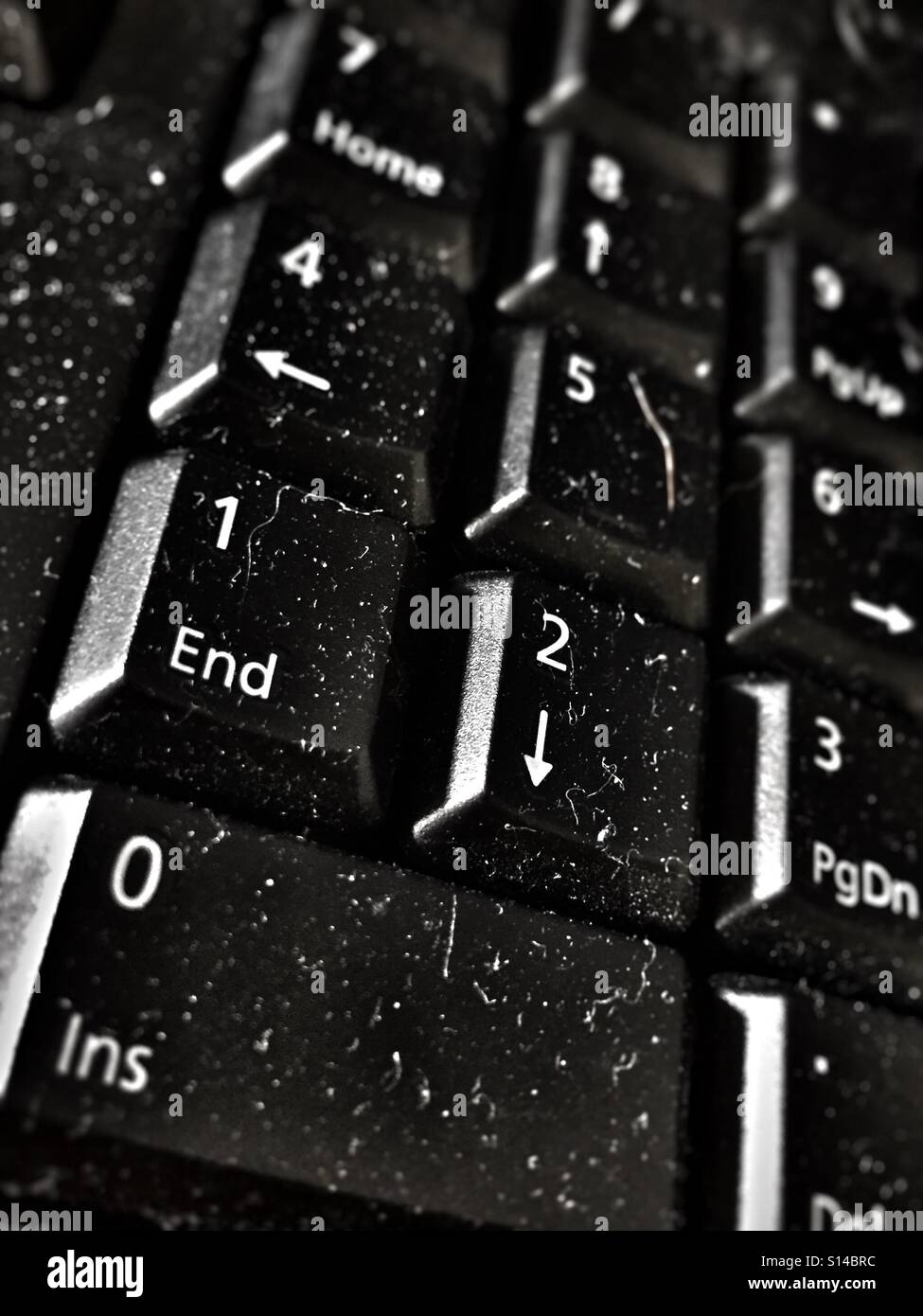 Dusty keyboard Stock Photo Alamy