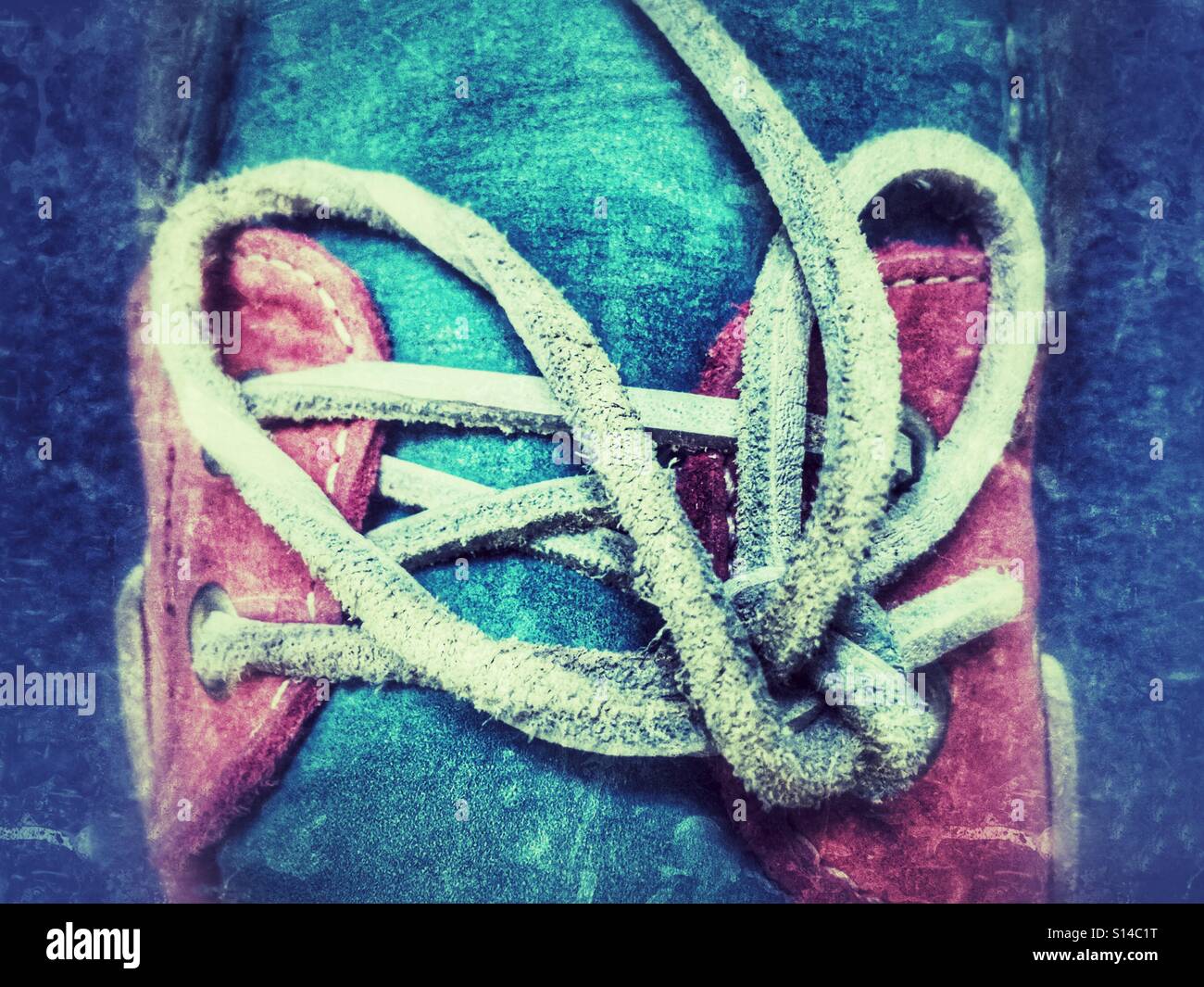 Leather shoelace tied in a bow Stock Photo Alamy