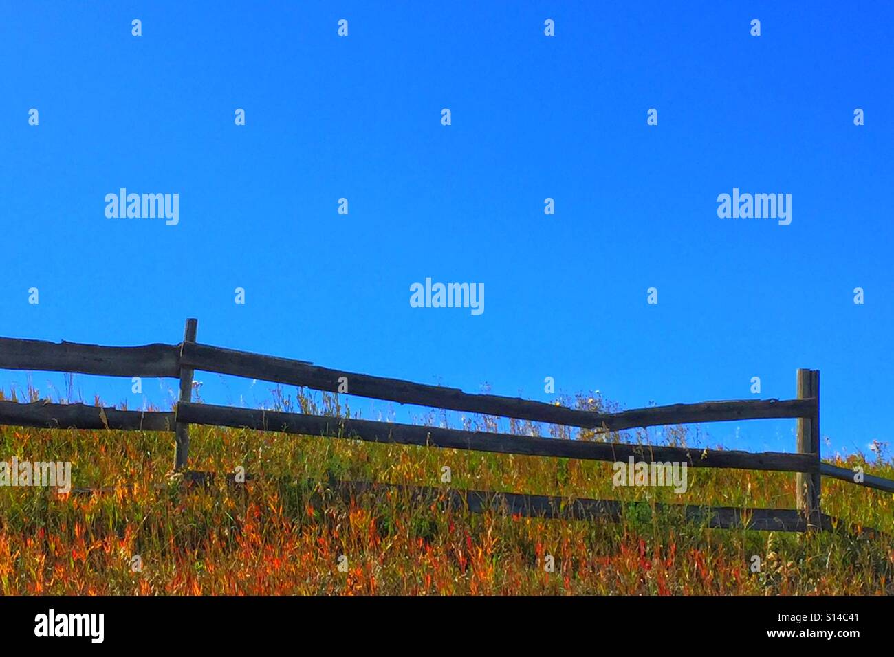 Old wooden fence with a broken board and Autumn colours - Smartphone Captured Stock Image