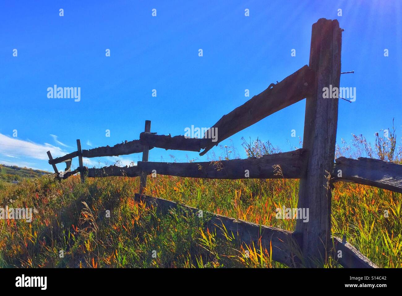 Old wooden fence with a broken board and Autumn colours - Smartphone Captured Stock Image