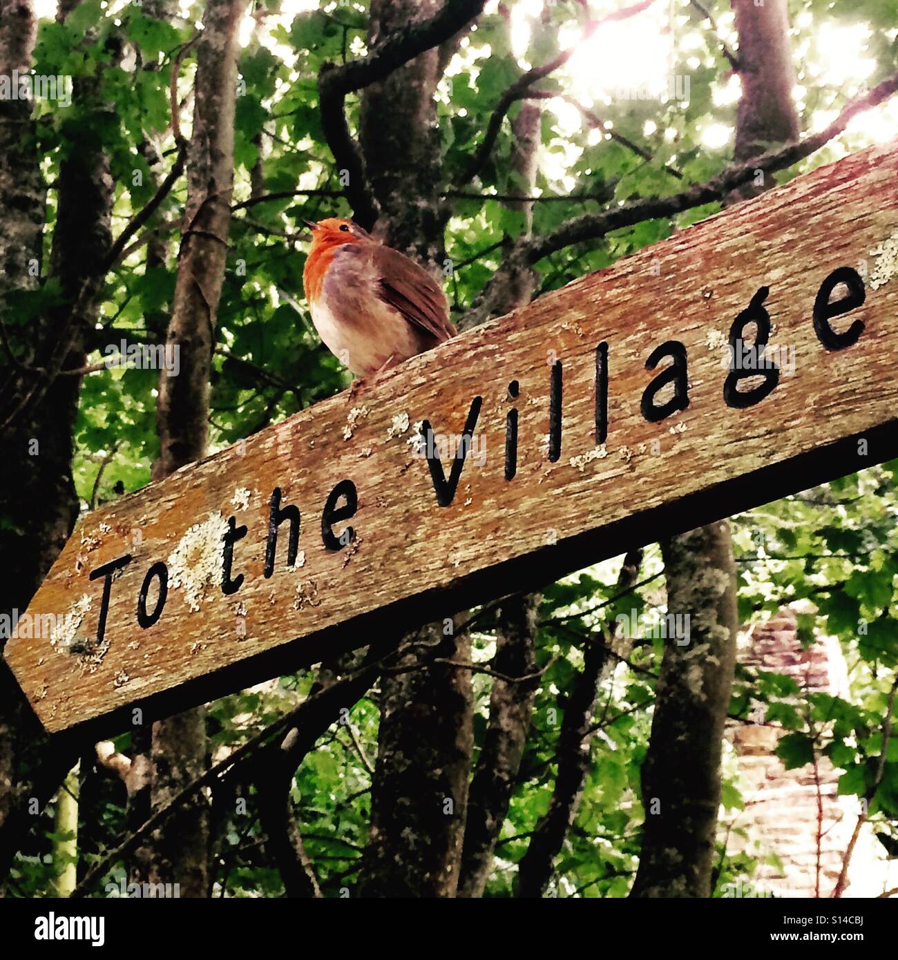 To The Village.... Sign in St Agnes, Cornwall with Robin Stock Photo