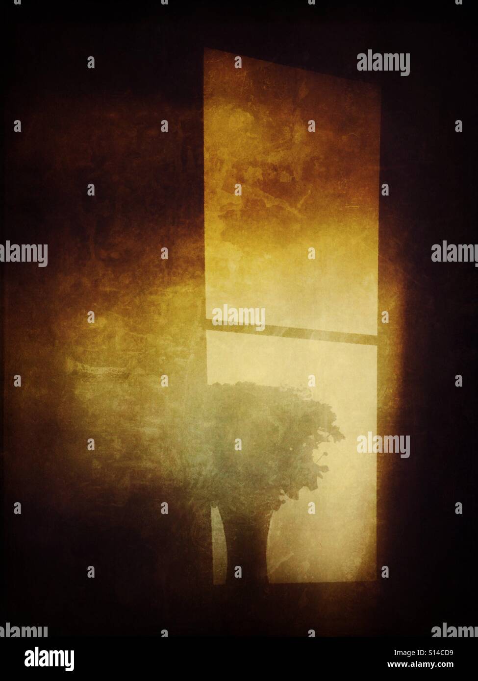 Shadow of flowers and vase in a window - Smartphone Captured Stock Image