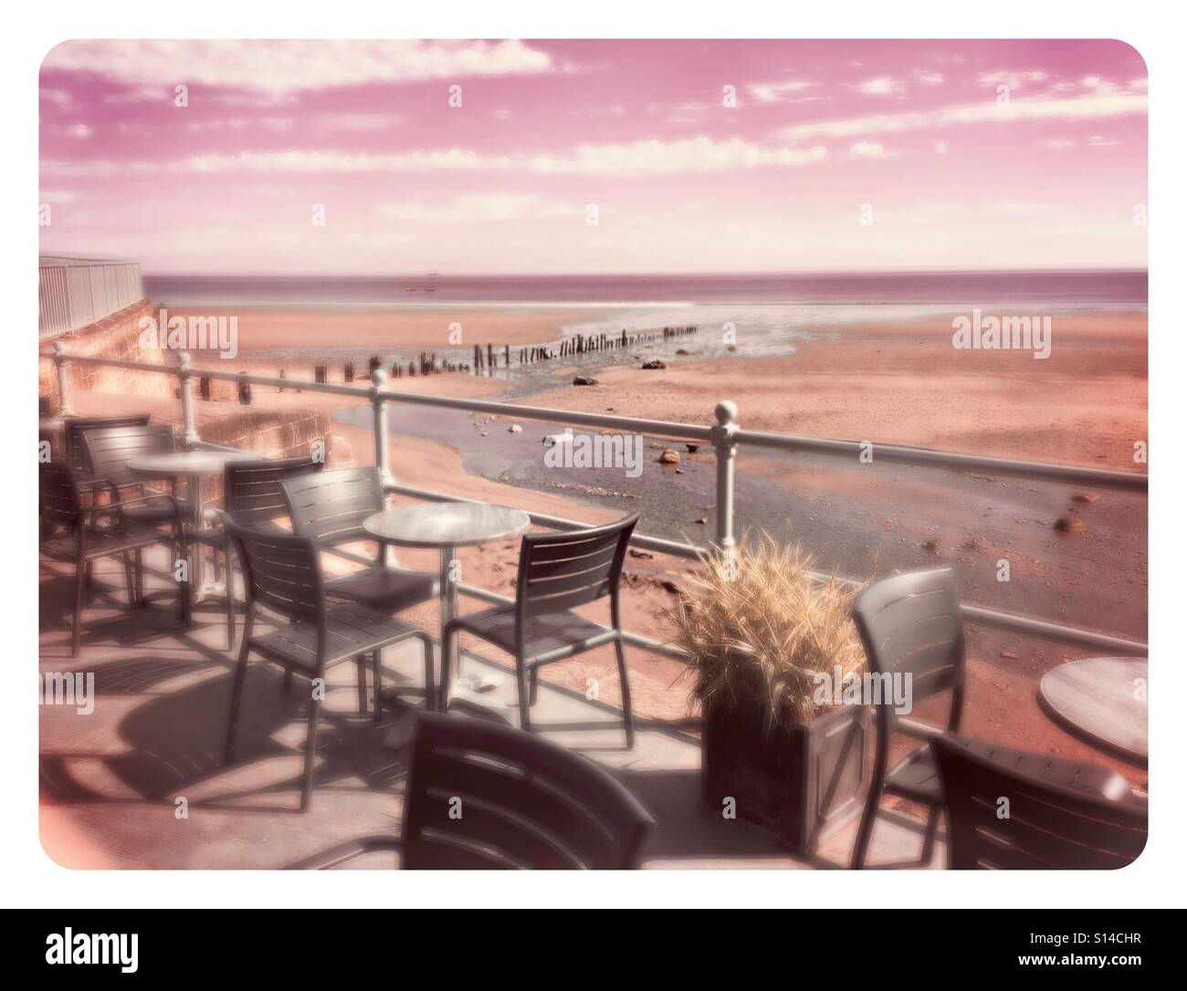 Terrace by the sea with pink haze - Smartphone Captured Stock Image