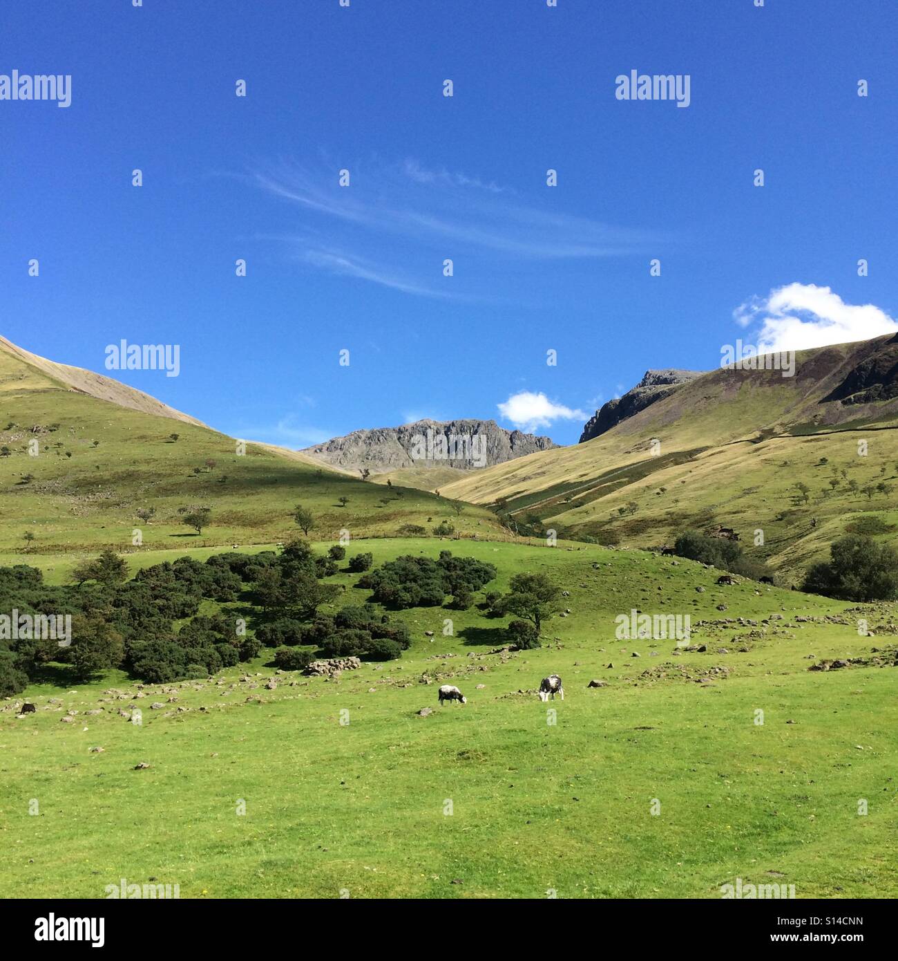 A view of Scafell Pike, in the Lake District which is England's highest peak. Stock Photo