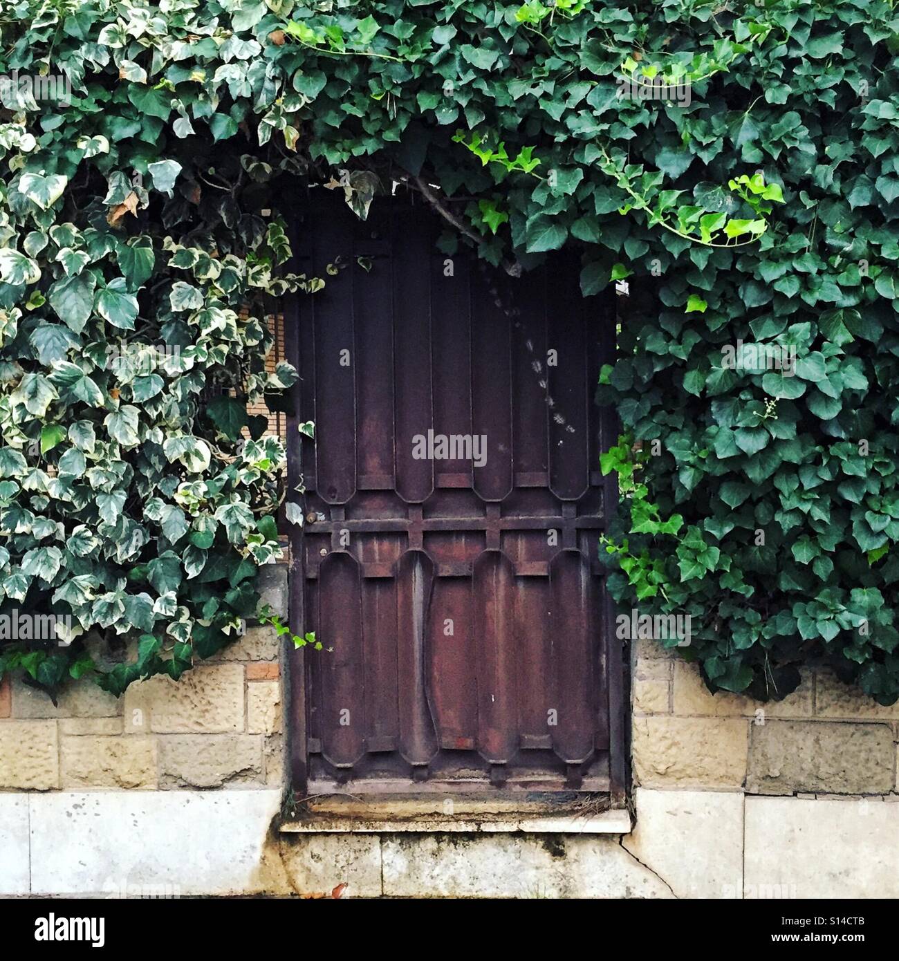 Ambush Ancient Doors There Covered Tree Stock Photo 632494289