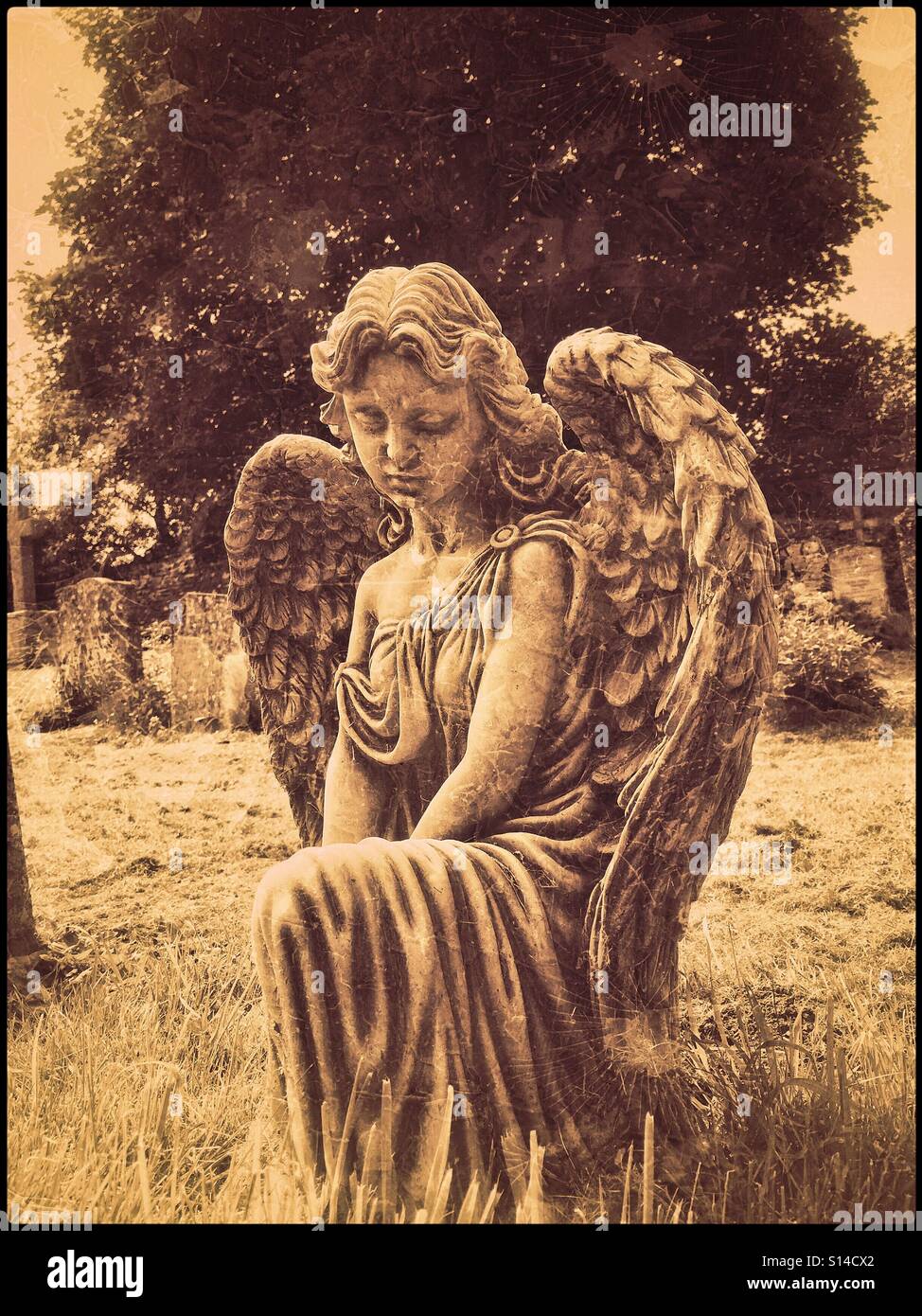 A concrete sculpture of an Angel sits on top of  a grave in the graveyard of a rural church in the S.W. of England. The image is sepia toned and created to show the effect of a glass plate negative. - Smartphone Captured Stock Image