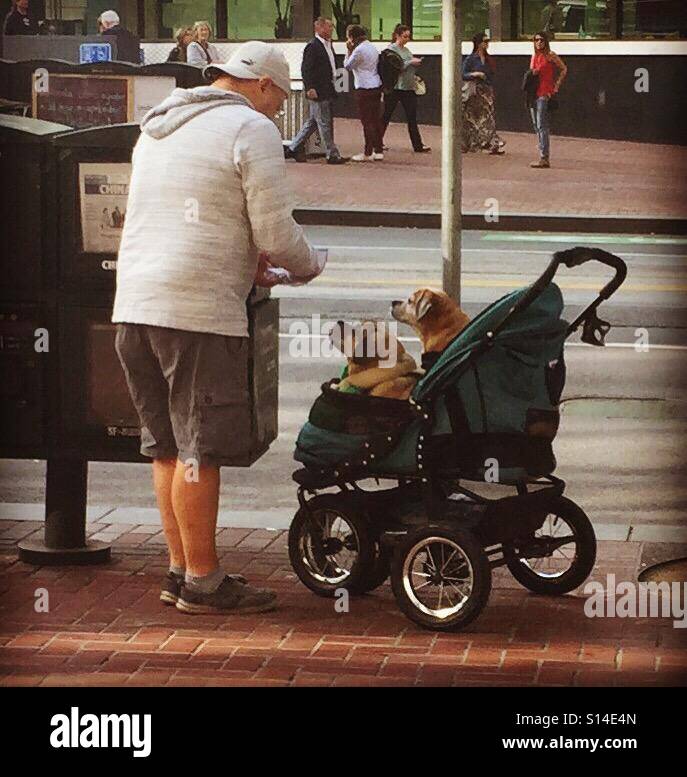 Pet stroller hires stock photography and images Alamy