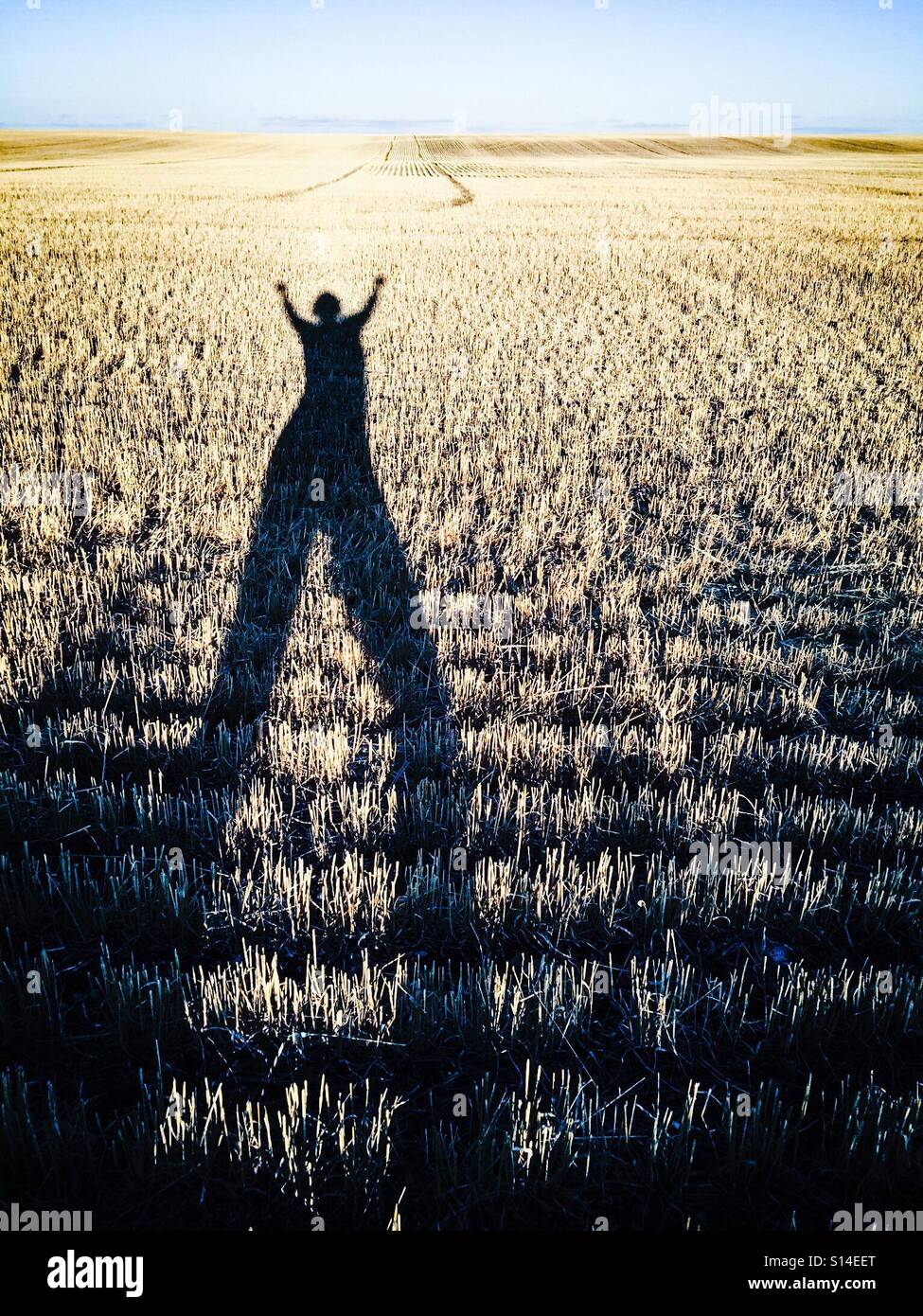 A long shadow of a cheering figure across the stubble of a harvested field. - Smartphone Captured Stock Image