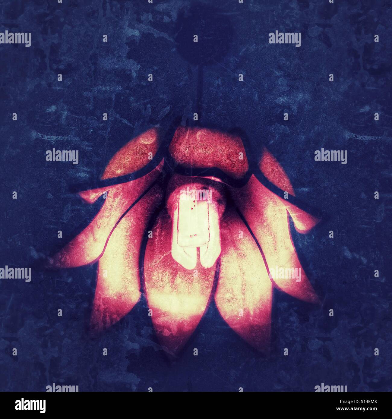 Ceiling light fitted with a pink glass lampshade and a low energy bulb. - Smartphone Captured Stock Image