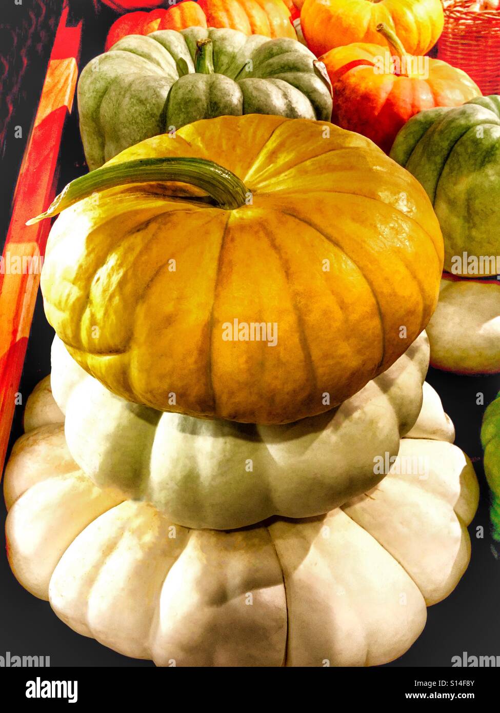 Princess Pumpkins - Smartphone Captured Stock Image