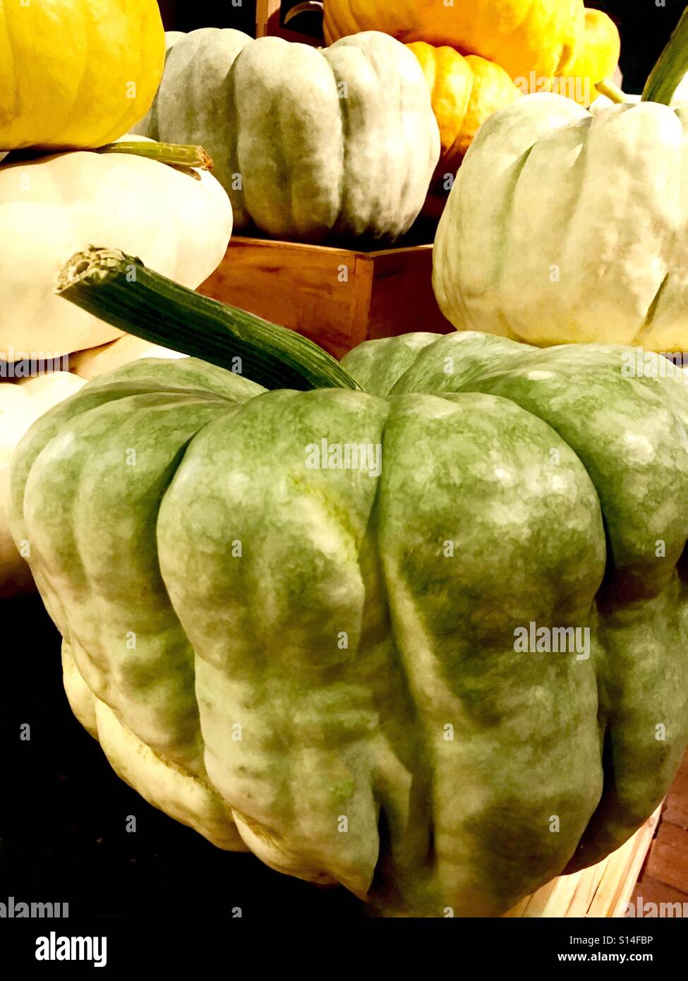 Princess pumpkins - Smartphone Captured Stock Image