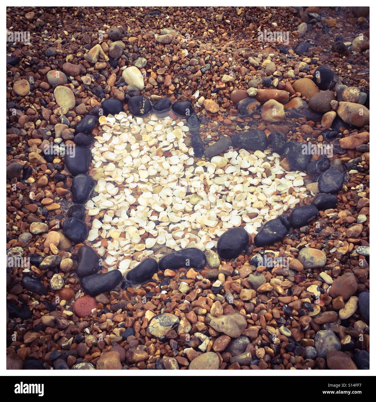 Heart Stock Photo