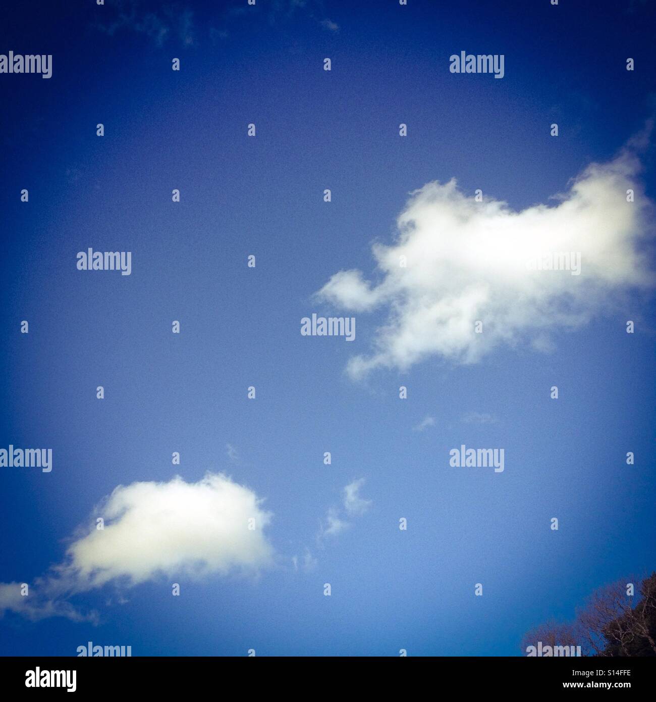 Blue sky with white clouds - Smartphone Captured Stock Image