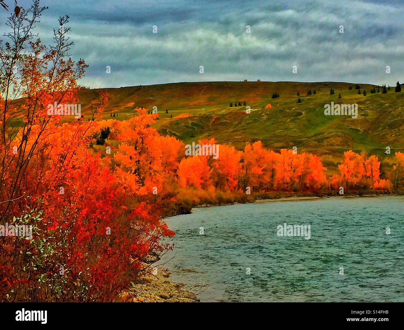 Red Autumn at the river - Smartphone Captured Stock Image