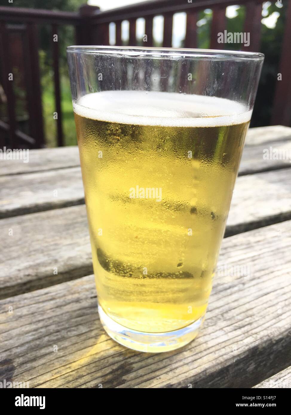 Glass of golden bubbly cider on wooden table outdoors backlit by sun. - Smartphone Captured Stock Image