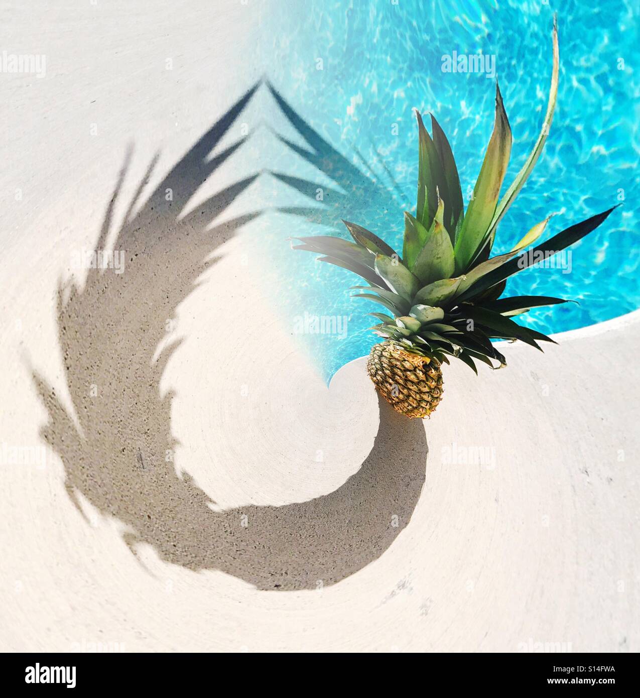 Pineapple and its shadow near swimming pool on a sunny day - Smartphone Captured Stock Image